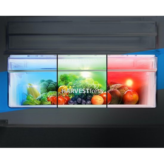 Beko RCNT375E40ZGBN - NeoFrost™ - Koel-vriescombinatie - GLASDEUR