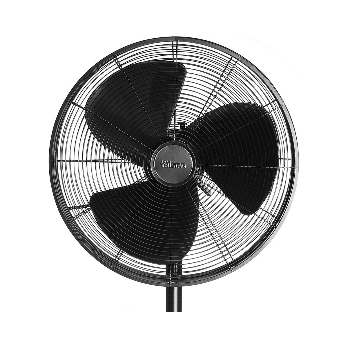 ve_5929_1.jpg ve 5929 1.jpg