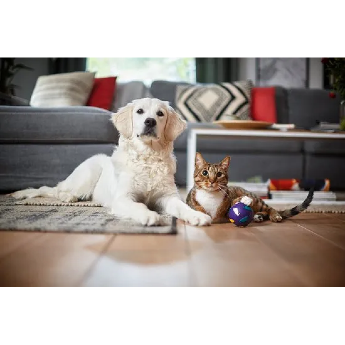 philips powerpro expert fc9744/09 - stofzuiger zonder zak