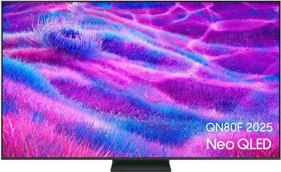 Samsung TQ65QN80FAU 165,1 cm (65") 4K Ultra HD Smart TV Wifi Grijs